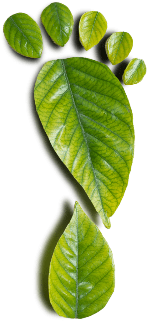 csr_leaf